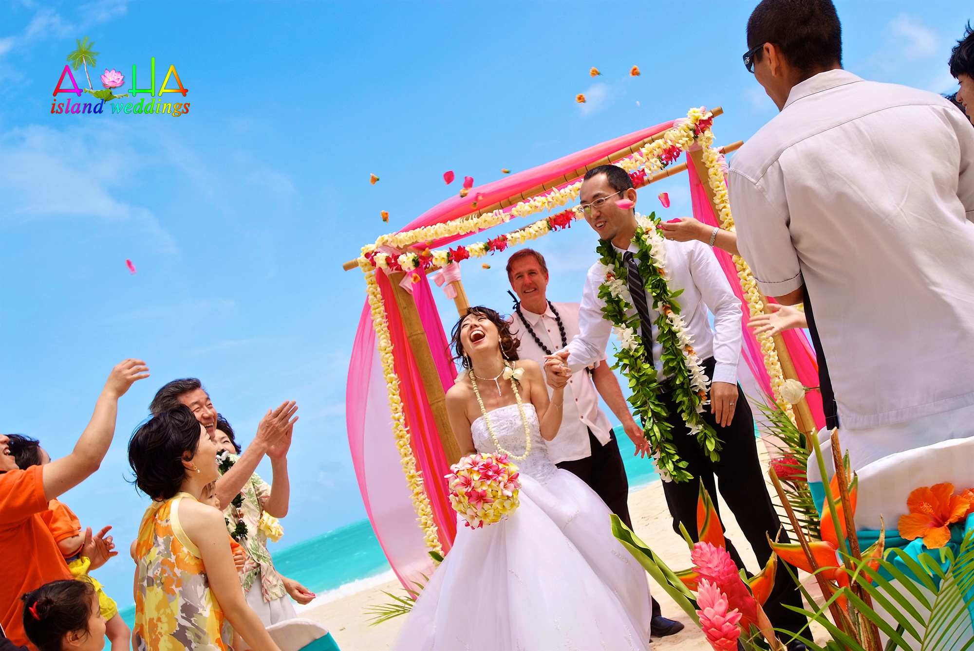 Flower shower of pink plumerias are thrown by the guest and family right after the couple are prenounced husband and wife in hawaii at Waimanalo beach